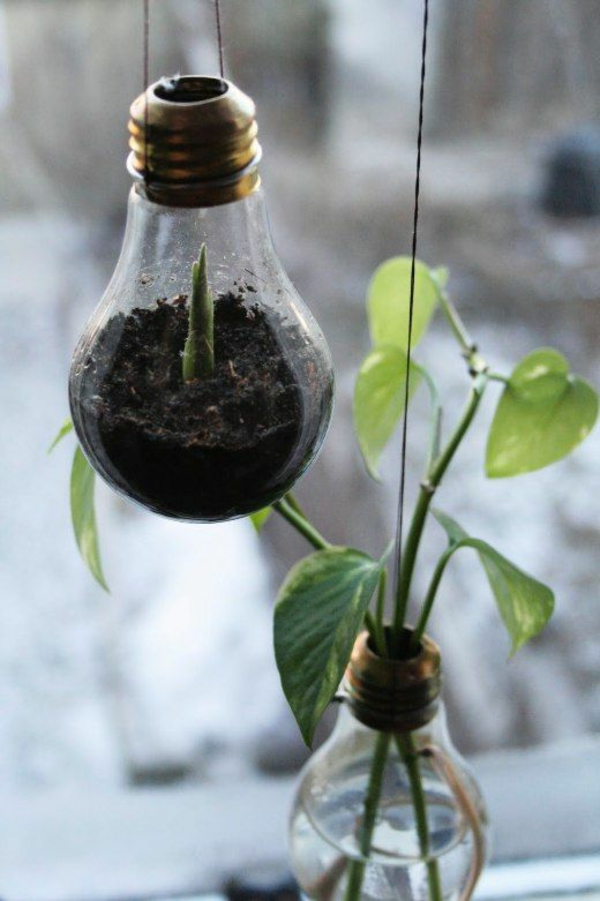 DIY Deko aus Glühbirnen erdboden pflanzen