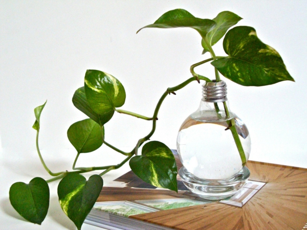 DIY-Deko-aus-Glühbirnen-zimmerpflanzen