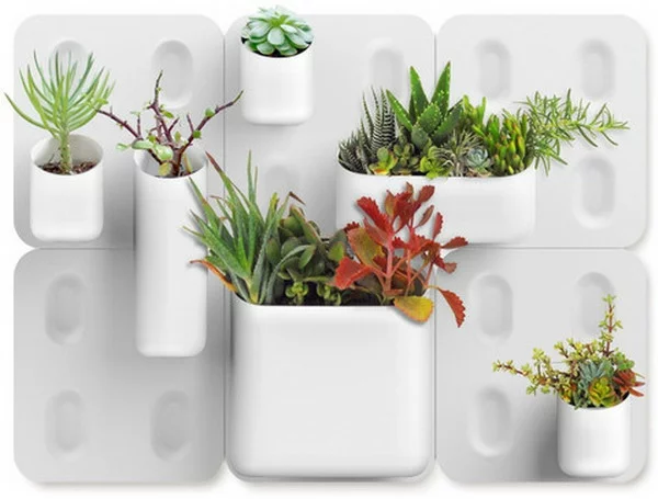 Grün pflanzen Bilder designer modular system