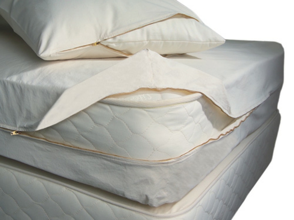 Milben im Bett sauber matratze bettwäsche