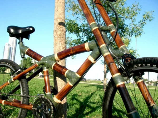 bambus  bambusholz fahrrad möbel