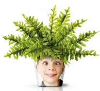 Moderne Pflanzgefäße mit Gesicht – lustige coole Deko Ideen