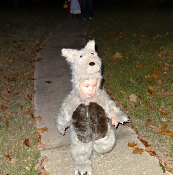 diy kleidung karnevalskostüme baby wolf cool