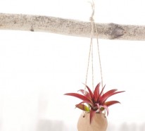 Hängende Pflanzen – Hängepflanzencontainer als Wohnaccessoires im Innen- oder Außenraum
