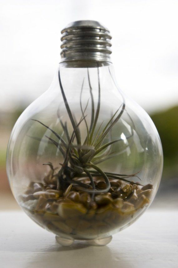 lampe-glühbirnenform-diy-deko-air-pflanze