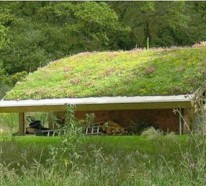 Dachbegrünung Gartenhaus – Exterior in Grün
