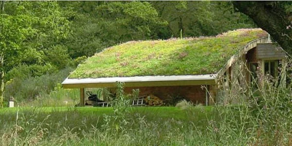 landschaft dachbegrünung gartenhaus exterior ideen