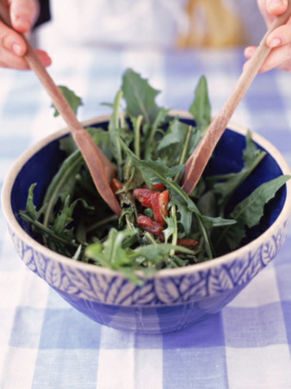 unkrautvernichter garten gestalten pflegen pflanzen salat