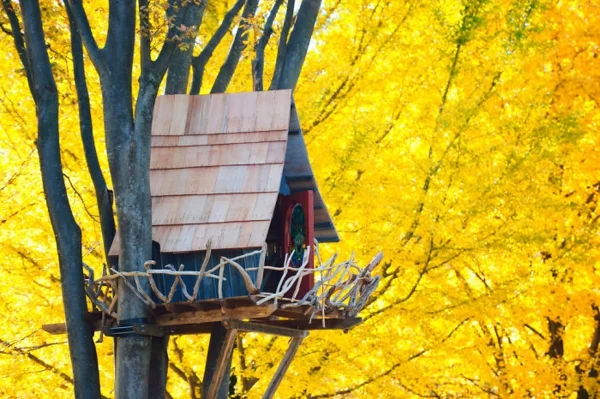 Baumhäuser der Welt designs gelb blüten