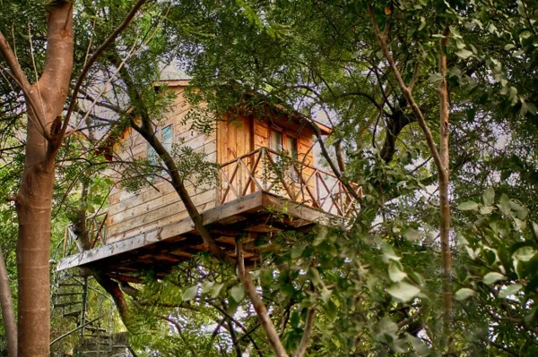 Baumhäuser der Welt designs klein nützlich