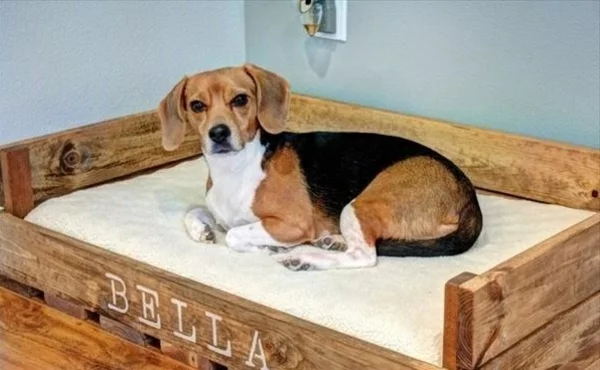 Hundebetten matratze Holz katzen sofas haustiere rahmen