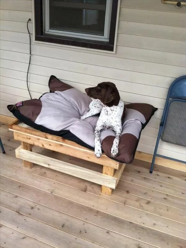 Hundebetten Holz katzen sofas haustiere veranda