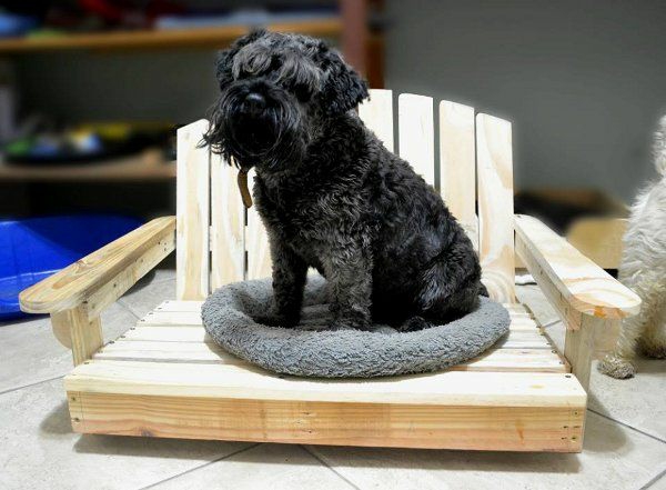 Hundebetten aus Holz katzen sofas haustiere weiß