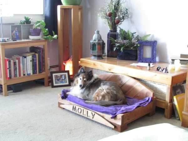 Hundebetten katzen sofas haustiere wohnzimmer