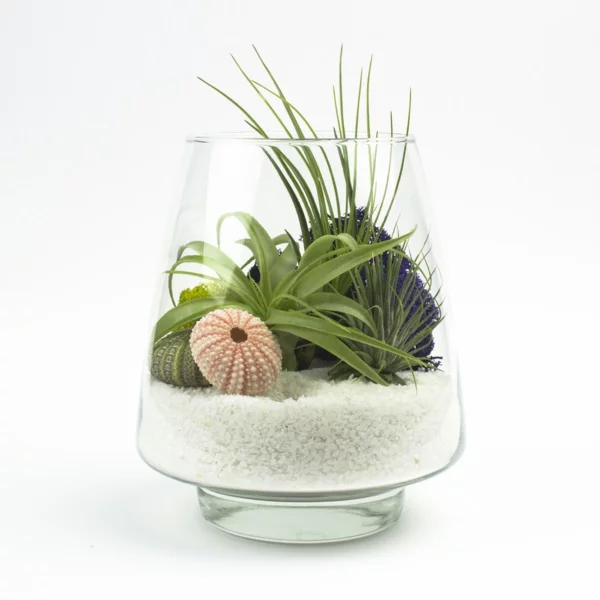 Robuste glas schüssel Zimmerpflanzen dekoration sand