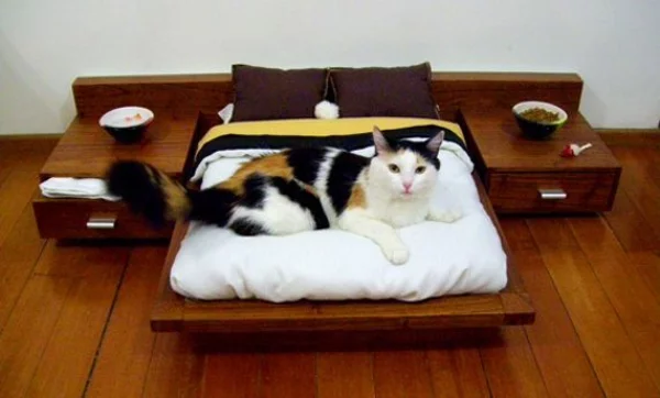 Tierfreundliche Katzenmöbel und Kratzbäume schlafzimmer