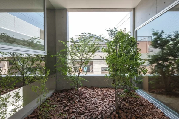 Zimmergarten im japanischen Haus fenster innengarten