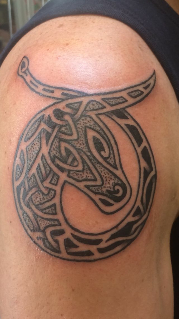 celtic tattoos motive stier tattoo 