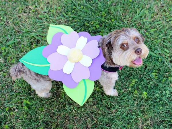 papier filz Hundebekleidung zu Halloween blume lila