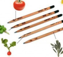 Stifte, aus denen man zu Hause einen Garten machen kann