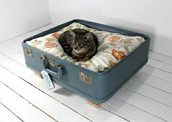 auflagen möbel liegen katzen hunde koffer