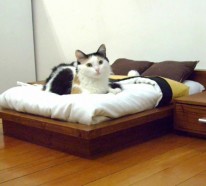 Katzenmöbel Design – lustige, kreative Katzenverstecke