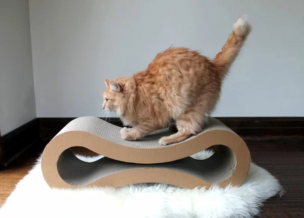 katzenmöbel katzenliege ergonomisch