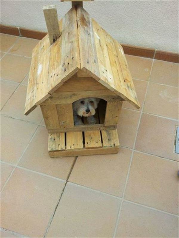 klein Holzmöbel aus Paletten hundehaus