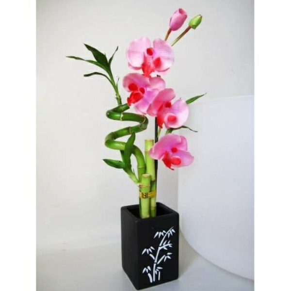 orchidee keramiscghe vase bambus drachenbaum rosa blüten