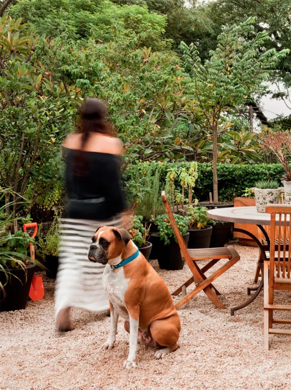 terrassengestaltung ideen balkonpflanzen gewürzen sand kieselsteine hund haustiere