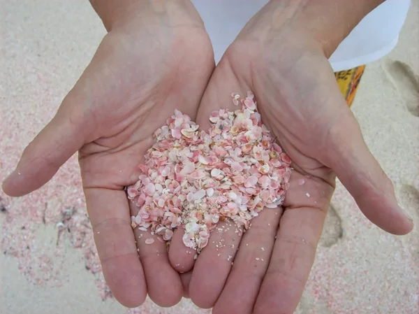 schönste Strände weltweit bahamas rosa sand