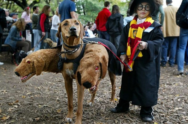 Halloween Kinderkostüme designs festlich dreiköpfig hund