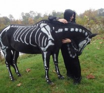 Halloween Kostüme für Haustiere angebracht