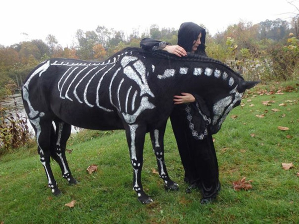 Halloween außergewöhnliche Kostüme für Haustiere skeleton pferd