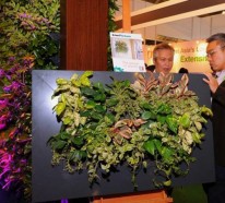 Wanddeko mit Pflanzen – LivePicture erfrischt die Luft und das Ambiente