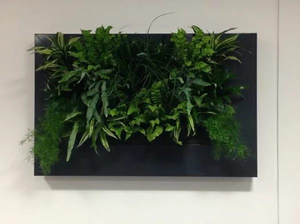 Wanddeko mit Pflanzen bilderrahmen live picture