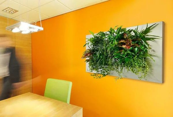  orange wandfarben Wanddeko mit Pflanzen