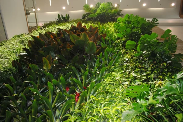 Wanddeko grün denken Pflanzen sukkulenten ideen