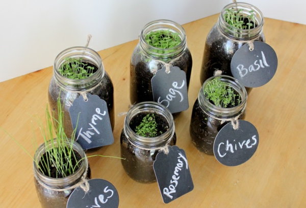 Krauterpflanzen Immer Friche Krauter Handgreifbar Zu Hause Haben