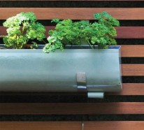 Durch Holzpaneele einen vertikalen Garten für Ihr Zuhause erschaffen