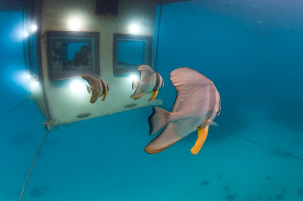 Traumhäuser - Unglaubliches Haus mit einem Schlafzimmer unter Wasser