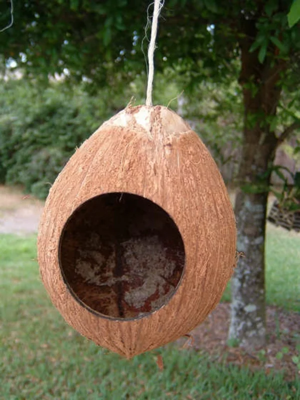 vogelhaus selbe bauen aus kokosnuss