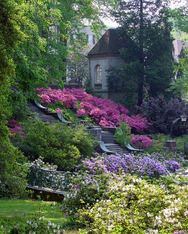 Terrassen und Gartengestaltung durch Pflanzen aufpeppen