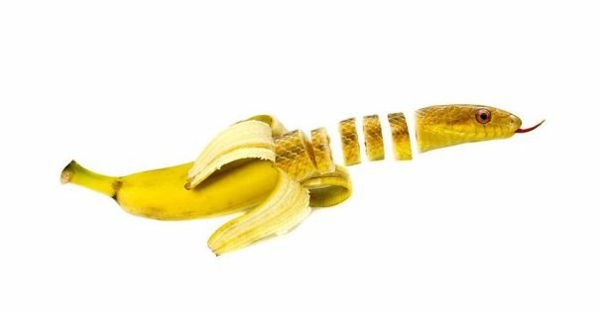 Collagen von Tieren mit Obst und Gemüse banane