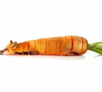 Animal Food – Collagen von Tieren mit Obst und Gemüse vermischt
