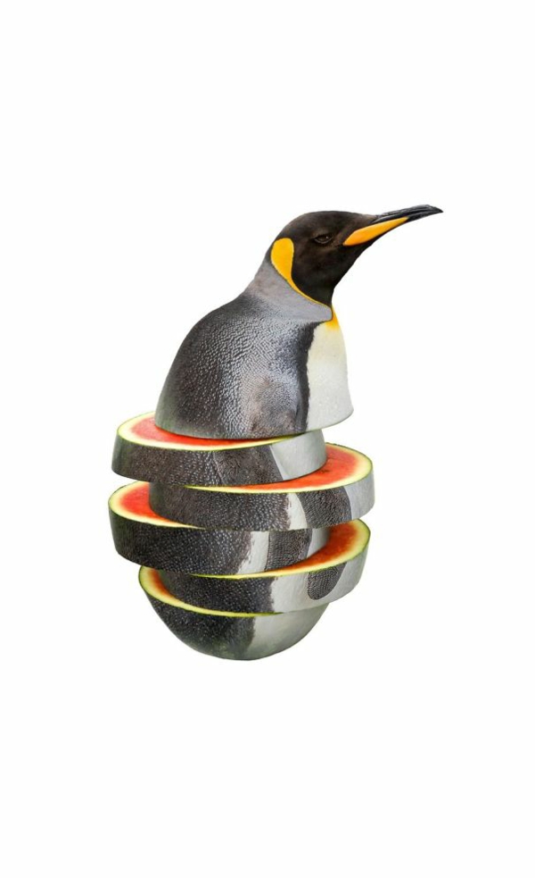 Animal Food Collagen von Tieren mit Obst und Gemüse pinguin