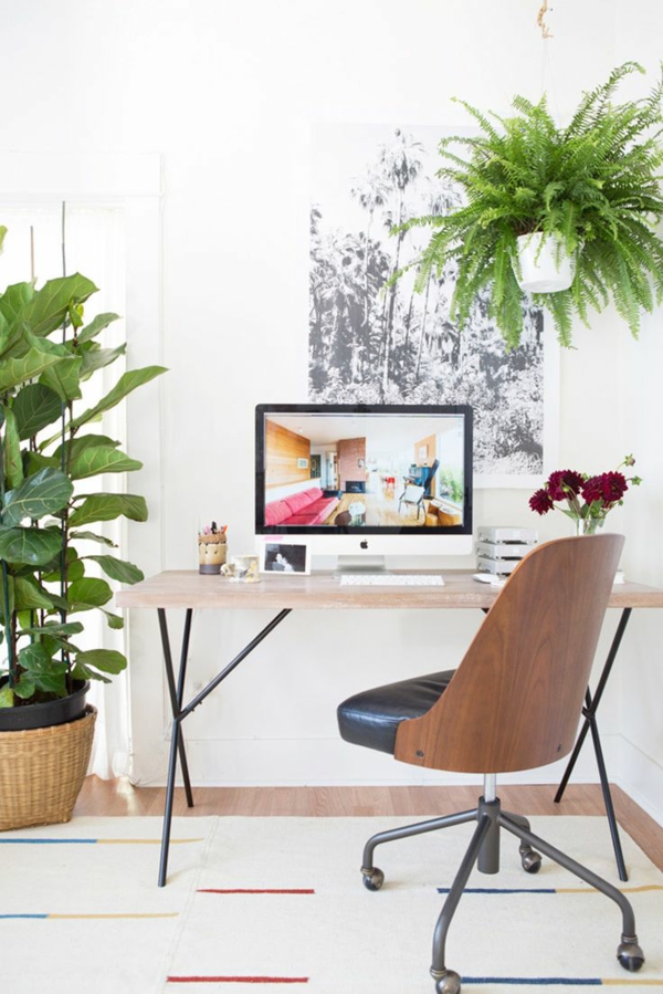 pflanzen Büromöbel ergonomisch gebraucht komplettset natur