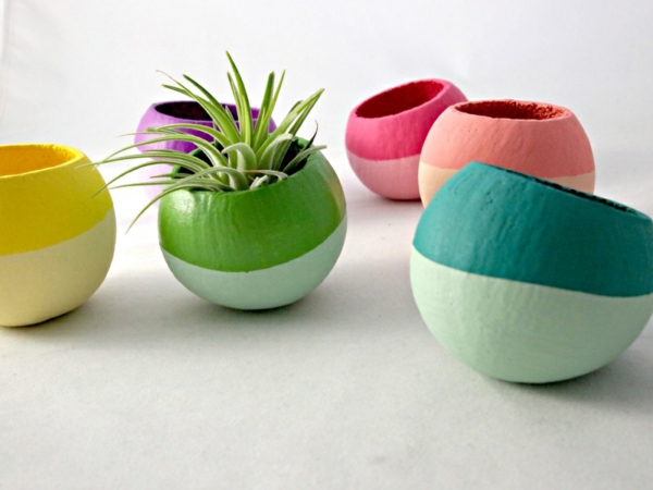 Moderne Pflanzgefäße für Luftpflanzen farben