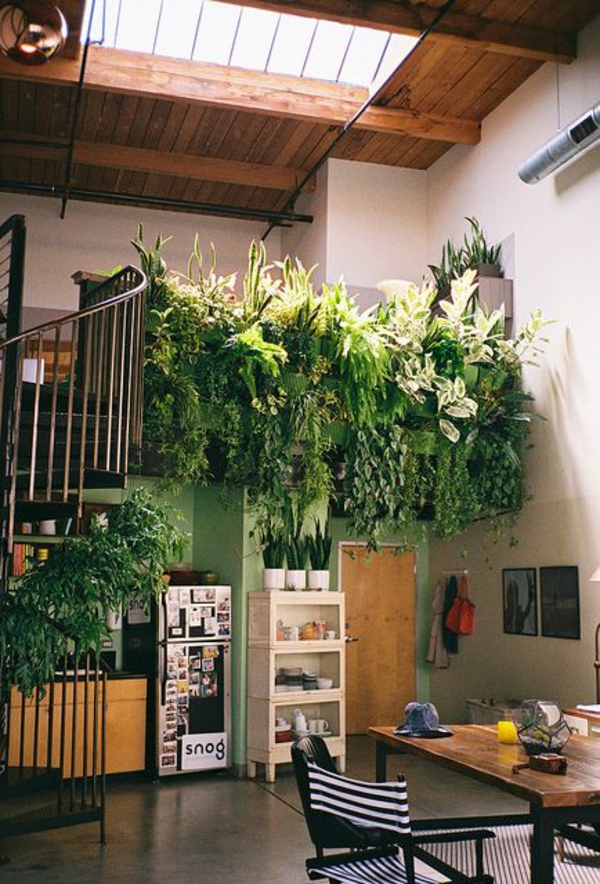 deckenfenster Zimmerpflanzen groß bilder topfpflanzen üppig
