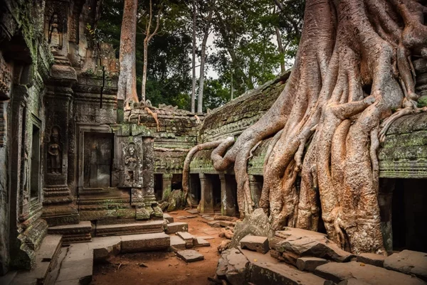 erde und mensch naturbilder kambodscha angkor